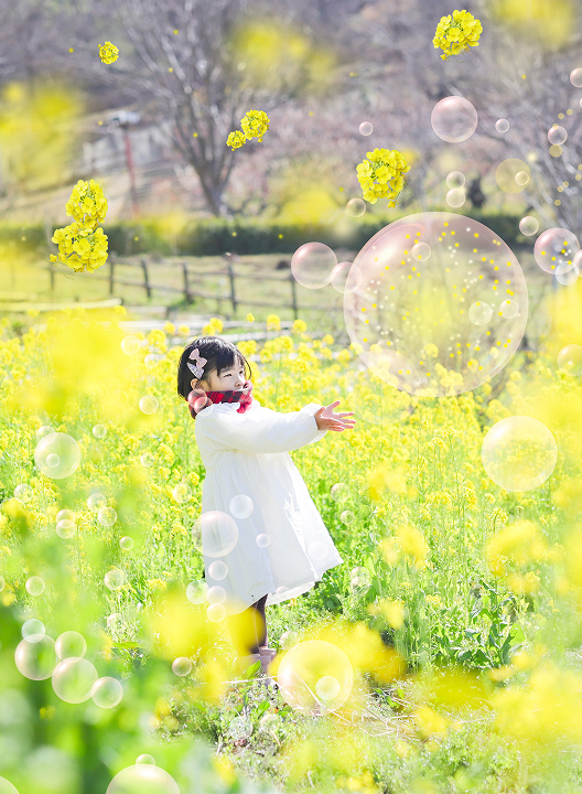 サンプル菜の花シャボン玉加工