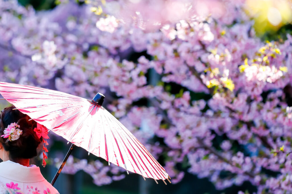 桜と和傘